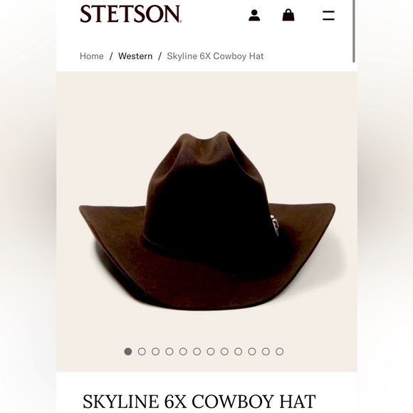 Stetson Skyline Cowboy Hat - Picture 1 of 5